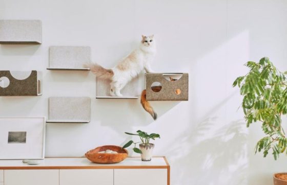 一緒にいる時間をもっと楽しく～猫壁～