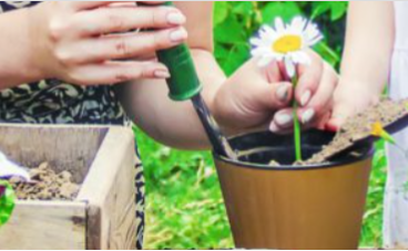 【おうち時間をもっと楽しく！家庭菜園】